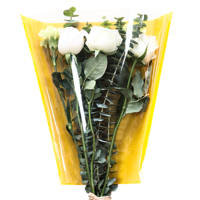 Manchons en papier kraft pour emballage floral de plantes en pot de légumes à fleurs