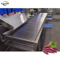 Ligne de traitement électrique fabriquée en Chine pour la production de concentré de patate douce et de protéines végétales, destinée au séchage d'isolats d'ingrédients