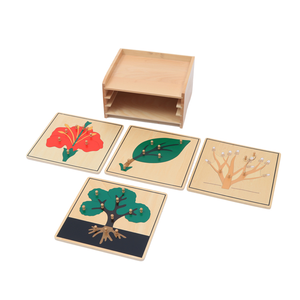 Matériel Montessori en bois, équipement pédagogique, armoire de puzzle botanique Montessori, jouets préscolaires pour enfants, Montessori Bois - Product Image 5