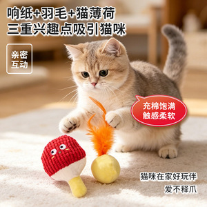 Cat toy <b>set</b>, self-entertainment and entertainment, catnip crinkle paper, cat feathers, cat ball, kitten teething toy - Product Image 3