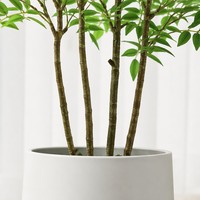 Arbre artificiel Nandina Domestica en pot, résistant aux UV, plantes d'intérieur et d'extérieur, pot blanc, décoration de hall d'entrée