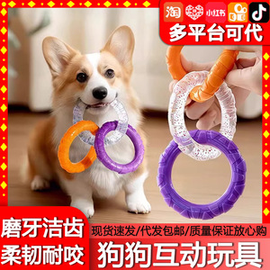 ของเล่นเคี้ยวสำหรับสุนัข เชือกดึงพลาสติกแบบอินเทอร์แอคทีฟสำหรับสุนัขขนาดเล็ก ฝึกเล่นในบ้าน - Product Image 5