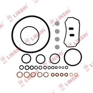 High Quality Diesel Fuel NANJING VE PUMP Injection Pump Repair Kits 800637