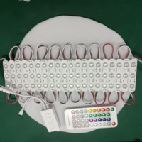 Module LED adressable IP67 haute luminosité DC12V Pixel Module LED d'injection
