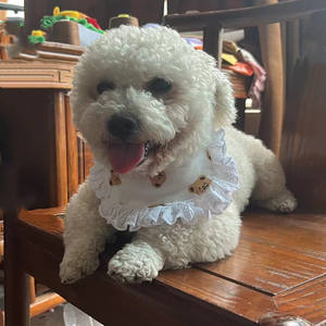 Haute qualité usine dessin animé imprimé Polyester animal chat bavoir Bichon Teddy chien Bandanas salive fournitures hiver Style doux Design - Product Image 2