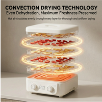 Déshydrateur alimentaire électrique 5 plateaux, chauffage 360°, température réglable 70°C, minuterie, écologique, pour fruits et légumes
