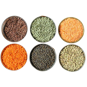 Proteína <span class=keywords><strong>de</strong></span> <span class=keywords><strong>Lentejas</strong></span> 100% Pura y Natural, Soluble en Agua, Suplemento Orgánico en Polvo, <span class=keywords><strong>Lentejas</strong></span> Verdes y Amarillas Frescas a Granel - Product Image 4