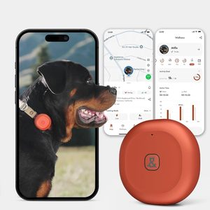 Rastreador GPS para Mascotas Molly Cody 4G Bluetooth Impermeable para Perros y Gatos, Rastreo en Tiempo Real, Aplicación iOS, Monitoreo de Mascotas - Product Image 1