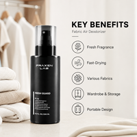 Spray anti-plis pour tissus, désodorisant et antistatique jetable pour vêtements, tissus d'ameublement et intérieur de voiture, assainisseur à séchage rapide