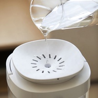 Humidificateur en verre électrique 24 h/24 à brume chaude Chauffe-eau unique Machine transparente de désinfection à la chaleur Usage domestique 1 an