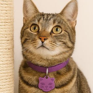 Placa de Identificación para Mascotas Directo de Fábrica, Múltiples Formas, Esmalte Colorido, Placa de Metal para Perros con Información de Contacto Grabada, Placa con Nombre para Mascotas - Product Image 4