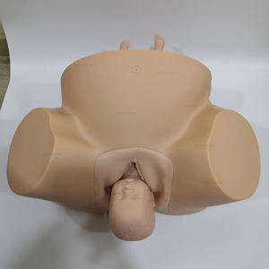 Modelo de Parto Humano de PVC para Entrenamiento Educativo, Simulador de Enseñanza de Embarazo y Parto, Distocia, Modelo de Parto para Partería - Product Image 5