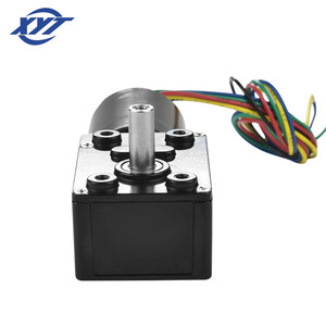 Xyt JGY-2838 Hiệu Quả Cao OEM Vỏ Màu Đen 30Kg. Cm 0.7A - 1.2A 15W 24V Micro DC Worm Không Chổi Than Bánh Có Động Cơ - Product Image 3