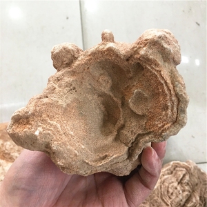 Venta al por Mayor de Especímenes Minerales Fósiles de Piedra Natural en Bruto, el Ojo del Desierto del <span class=keywords><strong>Sahara</strong></span>, para Decoración - Product Image 5