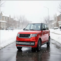 Voiture électrique de luxe à batterie lithium, 3500W 60V, quatre roues, nouvelle énergie, qualité supérieure, vente chaude, directement de l'usine chinoise
