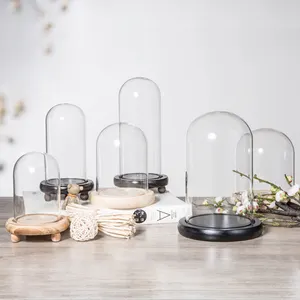 Hete Verkoop Standaard Moderne Helder Glas Stof Koepel Ronde Bal Handvat Glazen Cloche Koepel Met Basis Voor Kaarsen Planten Voor Altijd Bloem