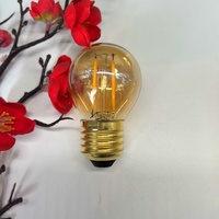 Ampoule LED Edison Source lumineuse basse tension 12V ST58 Tea Color G45 Ampoule rétro décorative AC Power Supply Glass E27 for Wholesale