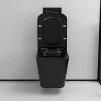 Sanitaire Salle De Bains Accroché Au Mur Fixation Au Mur Avec Lavabo De Toilette Arrière Ceraimc WC Toilette