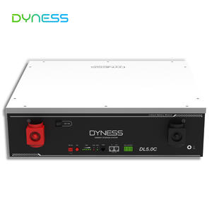 Baru dalam stok baterai lithium dyness dl5,0c DL5.0C-1C 5,12 kWh 48V 51.2V 100AH - Product Image 6