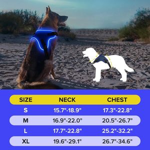 Harnais pour chien à LED, anti-traction, réfléchissant, respirant, robuste, grand format, pour l'entraînement, tactique, de service, personnalisé, écologique - Product Image 4