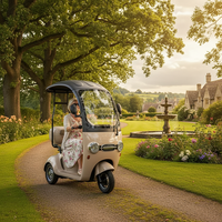Vélo électrique à trois roues Holladay à batterie longue durée, carrosserie ouverte, tricycle électrique OEM pour le transport et les passagers