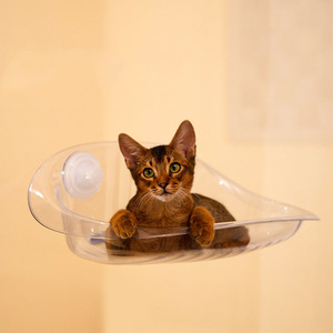 Arbre à chat <span class=keywords><strong>de</strong></span> luxe moderne avec hamac <span class=keywords><strong>suspendu</strong></span> lit <span class=keywords><strong>suspendu</strong></span> <span class=keywords><strong>bain</strong></span> <span class=keywords><strong>de</strong></span> <span class=keywords><strong>soleil</strong></span> ventouse-Merveille toutes saisons pour chats - Product Image 5