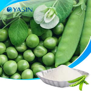 Suplemento alimenticio de péptidos de guisante vegano puro en polvo de proteína hidrolizada de plantas Halal - Product Image 1