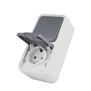 Home-Friendly 1-Way Wall Socket Switch with Protective Shield - European Standard