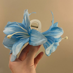 Barrette à cheveux en plastique style bohème, fleur douce, pour mariage, fête, plage, accessoire pour cheveux pour femmes - Product Image 2