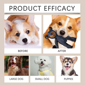 Giocattolo per Cani Resistente e di Lusso a Forma di Orso, Ecologico, Interattivo, in Tessuto Oxford con Squeaker - Product Image 5