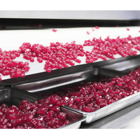 Fabricación de línea de producción de dulces blandos vitamina Gummy Bear depositador máquina para hacer dulces