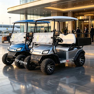 Voiture de golf électrique ZOWN à 2 places, haute stabilité, faisceau de câblage étanche, pneus résistants à l'usure pour les déplacements en extérieur - Product Image 1
