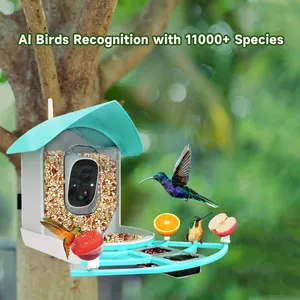 Model baru 1080p indikator LED pengumpan burung pintar jarak jauh dengan WiFi dan aplikasi