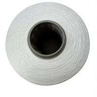 Filament de polyester recyclé à 100% certifié GRS 65D/192F SD SIM DTY RW