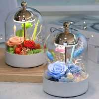 Vente en gros de lumières de nuit LED à fleurs éternelles en verre avec commande tactile, rose fraîche faite à la main, cadeau romantique pour la fête des mères, la Saint-Valentin
