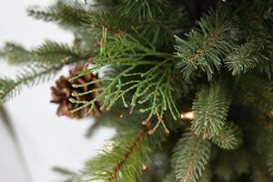 Sapin de Noël artificiel en PVC vert de haute qualité personnalisé, mini sapin de Noël artificiel réaliste - Product Image 5