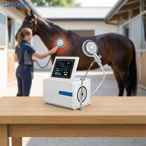 Machine PEMF (Champ Électromagnétique Pulsé) pour chevaux, prix usine, améliore le confort du repos, machine de massage PEMF pour chevaux, pour usage animalier. - Product Image 1