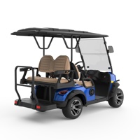 Voiturette de golf électrique personnalisée par les fabricants, 3-4 places, tout-terrain, intelligente, avec une grande autonomie