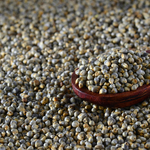Millet perlé non poli - Product Image 1