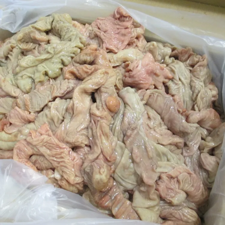 GOOD QUALITY FROZEN PORK INTESTINE