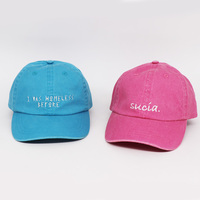 Blauwe geborduurde gewassen katoenen pet unisex casual baseballcap
