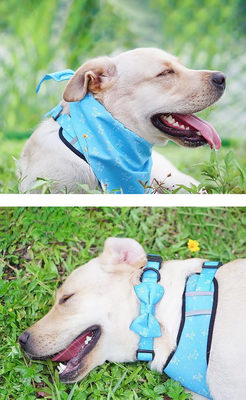 Green Color Polyester Pet Dog Harness Set With Adjustable Pin Buckle
