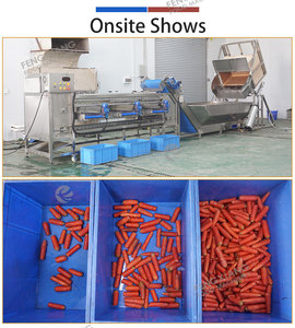 Máquina de lavado y clasificación de hortalizas de raíz (zanahorias, rábanos) con línea de procesamiento personalizada de 1000-5000 kg para fábricas de frutas, zanahorias y remolachas - Product Image 5