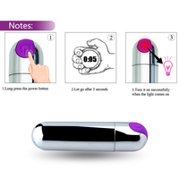 Wiederaufladbarer Vibrator Bullet USB-Aufladung Lila Knopf Silberner Körper Hochwertiger ABS-Massagevibrator
