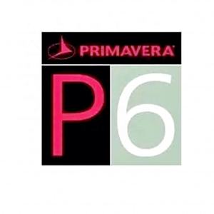 Logiciel de gestion de projets d'ingénierie autonome P6 Lifetime One Drive Send Download Link Orac Primavera P6 - Product Image 2