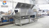 LXTP-5000 RVS Gemotoriseerde Schroefborstel Aardappel Bieten Zoete Aardappel Schil- en Wasmachine 3000-5000kg/u Capaciteit Knoflook