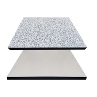 Suelo Elevado Antiestático de Sulfato de Calcio FS1500 Tipo 35 mm de Espesor con Acabado de Porcelana Cerámica
