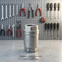 Vanne de contrôle verticale H12 en acier inoxydable, à ressort, filetée, OEM, manuelle, pour eau, huile, gaz, 1/2"-2" BSP NPT PN16