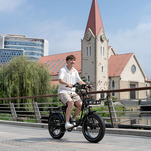 Nouveauté KOOLUX X7 Vélo électrique cargo 48V 25AH Batterie au lithium Longue portée Moteur 250W Cadre en alliage d'aluminium Assistance à la pédale - Product Image 5