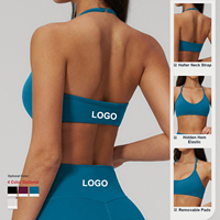 Bra Olahraga Seamless Custom Private Label OEM ODM Wanita, Cepat Kering, Bernapas, Elastis Tinggi, Atasan Yoga Fitness, Pakaian Olahraga